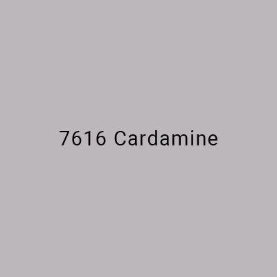 7616 Cardamine